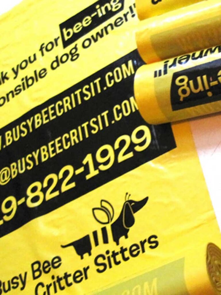 Local-Small-Business-Branding Logo Design Guelph By Black Bike Media