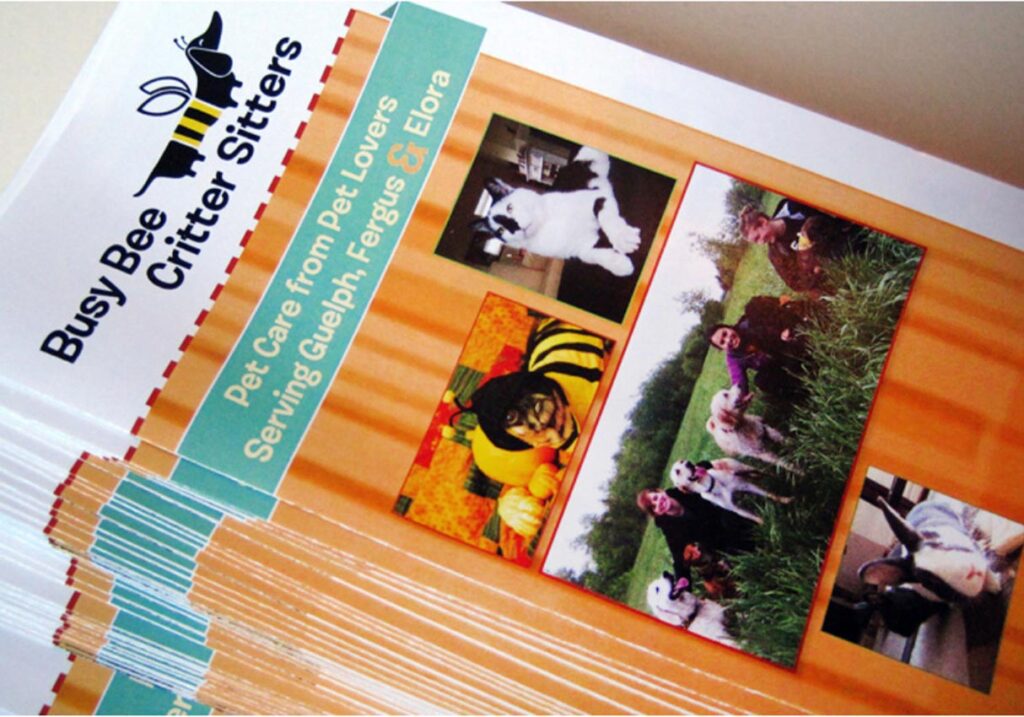 local-Branding-Designer-Small-Company Branding Logo Design Guelph By Black Bike Media