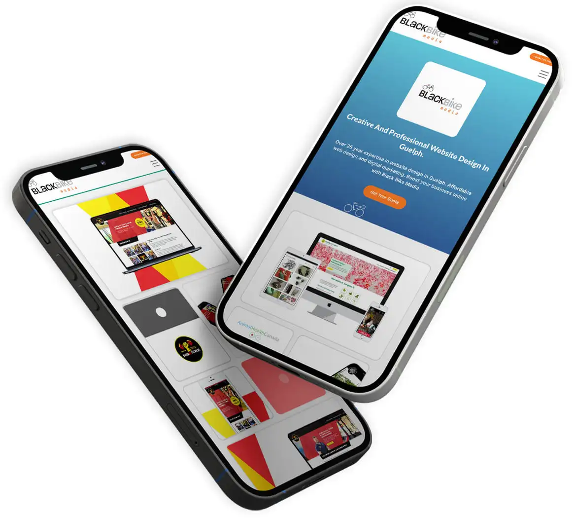 black-Bike-Media-Web-Designer-Connoisseur-sepcalist-mobile-design